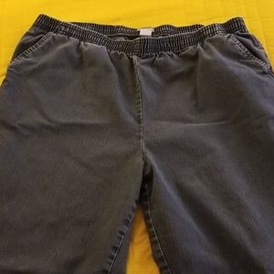 Like New Elastic Waist PETITE Jeans